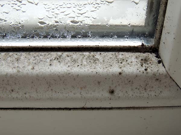 Taux d'humidité dans une maison : quelles sont les solutions ?
